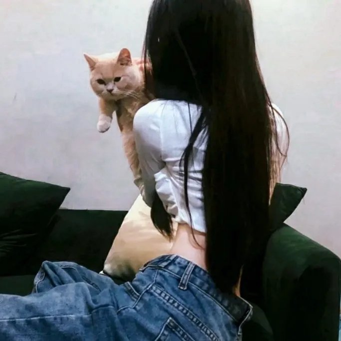 艳光舞男转